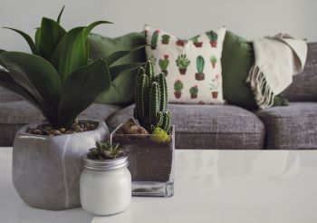 Decorate Your Space Individually With Wayfair's Collection of Home Goods