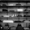 Building a Minimalist Wardrobe with Everlane’s Men’s Fashion Line
